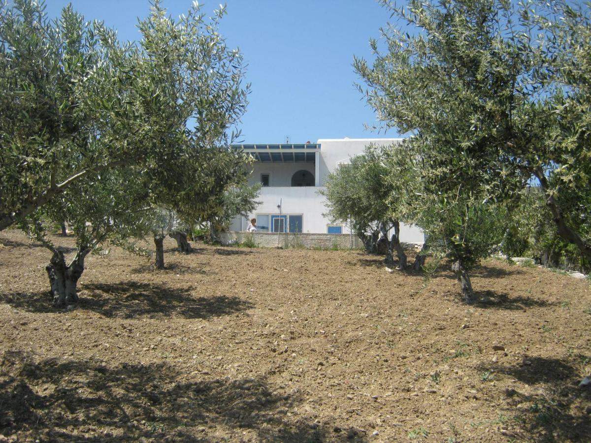Kafkis House, Paros Villa Dhragoulas ภายนอก รูปภาพ
